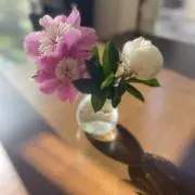 アップル