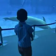 かず⭐️即購入大歓迎！の画像