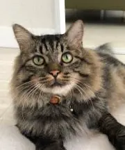 minamotoの画像