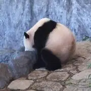 おにぎり