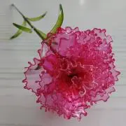 あぶらあげの画像