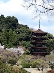 vvの画像