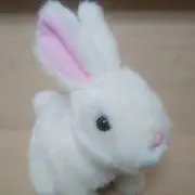 なかまるの画像