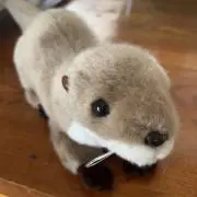 わさびの画像