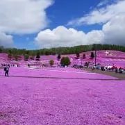 yshikoの画像
