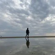 購入前にプロフ必読してください⭐︎の画像