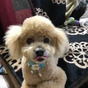 もこもこ