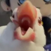 おのちゃんの画像
