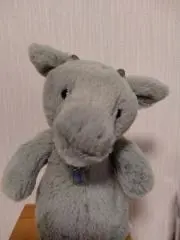 ルピナスの画像