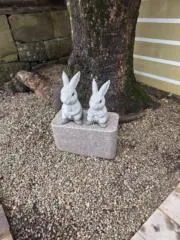 生茶の画像