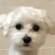 クー太郎
