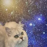 たつの画像