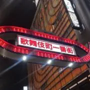 ニセメビウスの画像