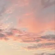 ゆゆ