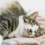 プロフ一読お願いしますの画像
