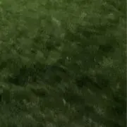 Sの画像