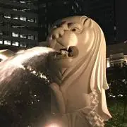 たいちょーの画像