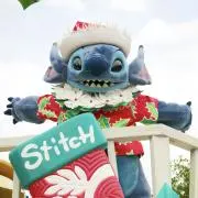 わらびもちの画像