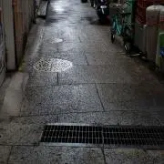雅