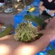 ひろの画像