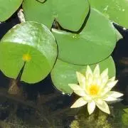 misa’sの画像