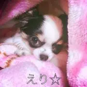 えり☆