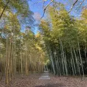 えまの画像