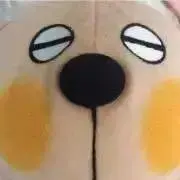 ゆりぴょんの画像