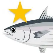 かつおぼし☆の画像