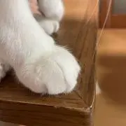 いち