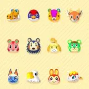 パッチ