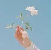 Jikoの画像