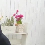 Yu