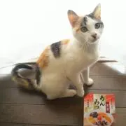 くれあの画像