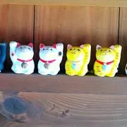 かきのたねの画像