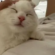 なな ✩プロフ必読の画像