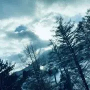 MIzryの画像