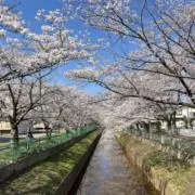 ＊お値下げ・即購入可能です＊の画像