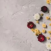 K 【当日発送】