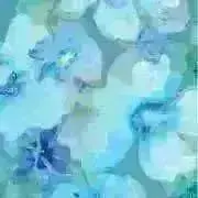 ®️:☺︎✴︎の画像