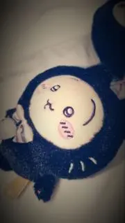 しゃろんの画像