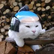 bon