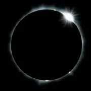 Blackの画像