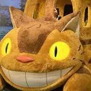 り。即購入可の画像