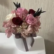 Cheeseの画像