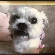 MICHICO★