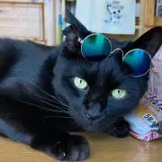 ちびた