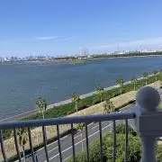 しろたんの画像