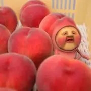 すみちゃんの画像