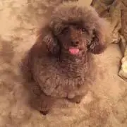 もこの画像